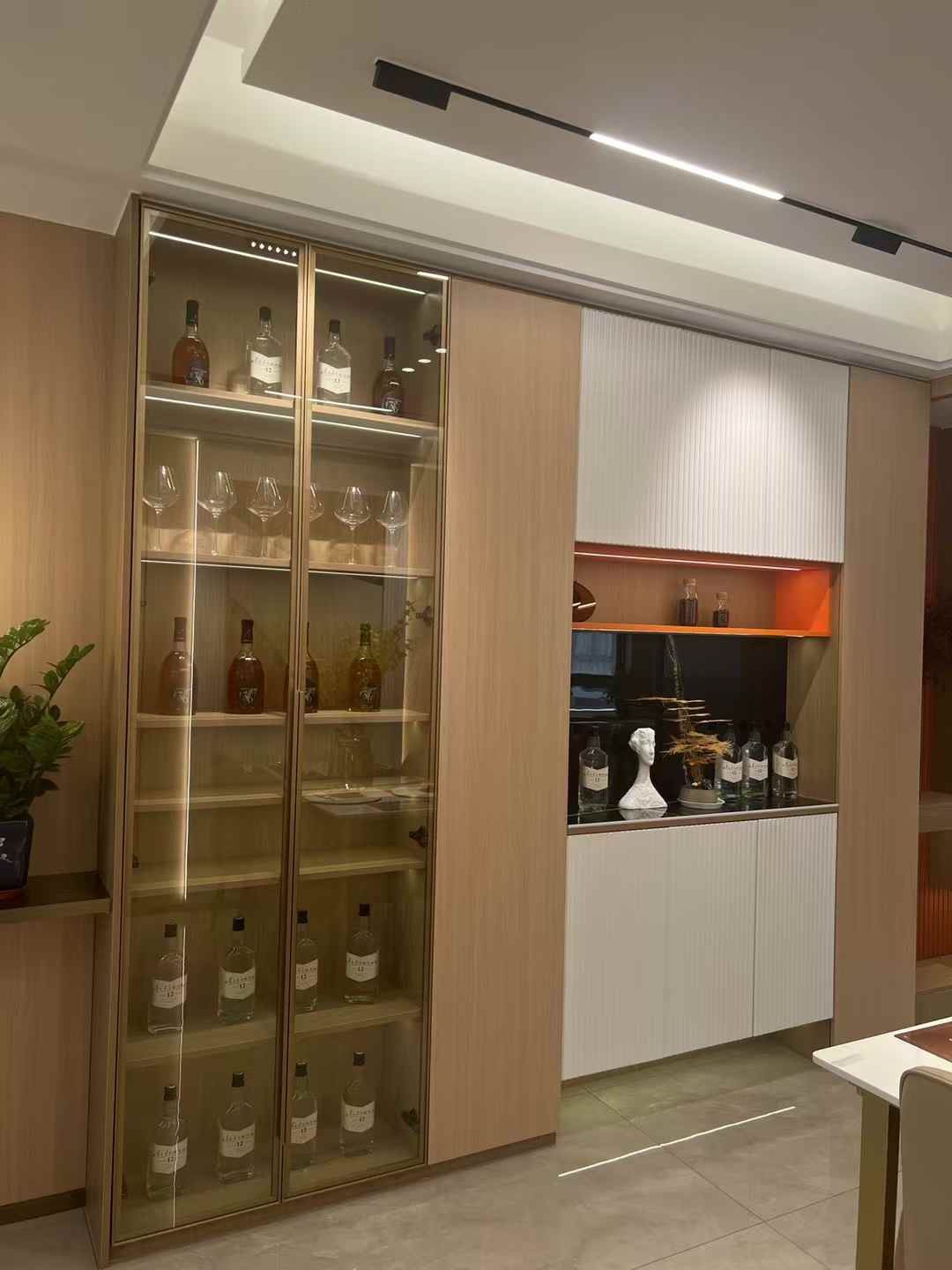 Glass Aluminum Wardrobe